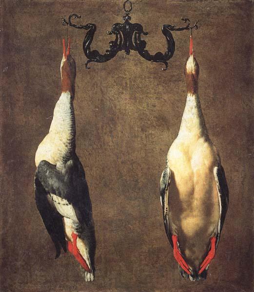 Dandini, Cesare Two Hanging Mallards Germany oil painting art